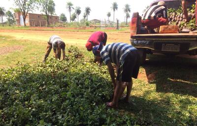 /pf/resources/images/abc-placeholder.png?d=2429