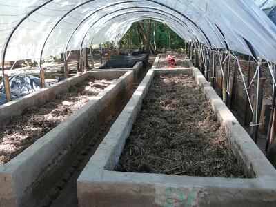 El humus de lombriz es un abono natural  muy usado en agricultura ecológica.