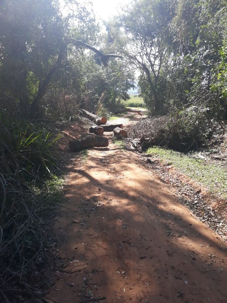 Incendio en campo que había sido invadido en Mbuyapey.