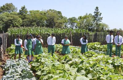 Imagen sin descripción