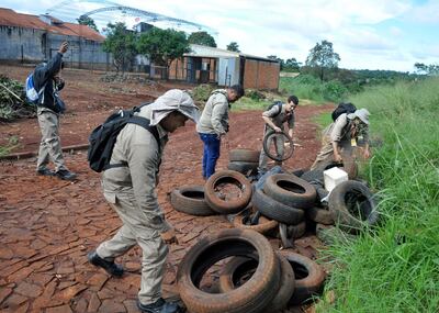 Notificaciones de supuestos casos de dengue se redujeron más del 50% a nivel país; en Alto Paraná hubo un descenso del 90%.