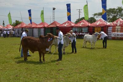 /pf/resources/images/abc-placeholder.png?d=2394