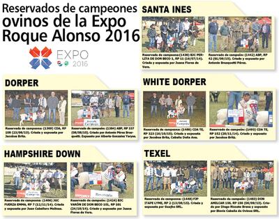 /pf/resources/images/abc-placeholder.png?d=2422