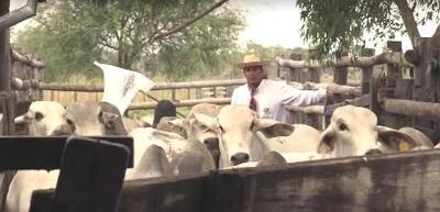 /pf/resources/images/abc-placeholder.png?d=2429