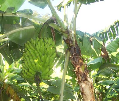 /pf/resources/images/abc-placeholder.png?d=2449