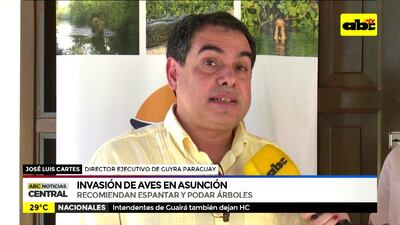 /pf/resources/images/abc-placeholder.png?d=2395