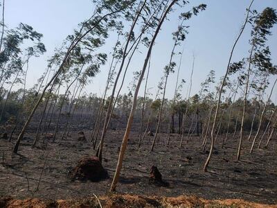 En Ñumi también se tiene varios focos de incendio.