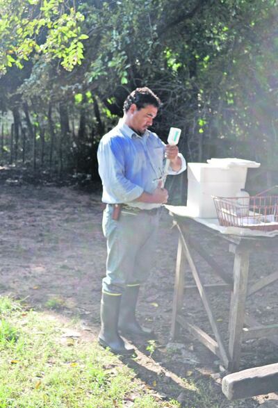 Imagen sin descripción