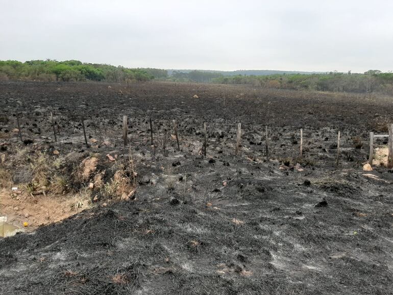 En Ciervo Cua el fuego consumió más de 40 hectáreas.