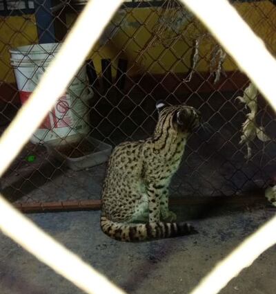 /pf/resources/images/abc-placeholder.png?d=2394