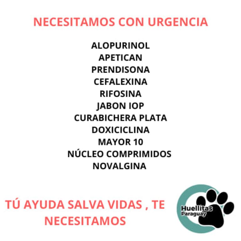 Piden ayuda para seguir cuidando de perros y gatos abandonados.