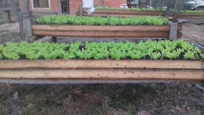 /pf/resources/images/abc-placeholder.png?d=2429