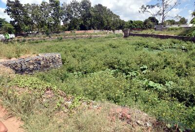 La laguna de mitigación, actualmente cubierta por malezas y basura. Los vecinos afirman que la obra no funciona y solicitan que el MOPC verifique la construcción.