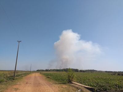 Continúa incendio en los humedales del Ypoá.