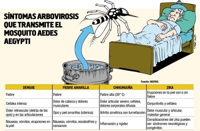 SÍNTOMAS ARBOVIROSIS QUE TRANSMITE EL MOSQUITO AEDES AEGYPTI