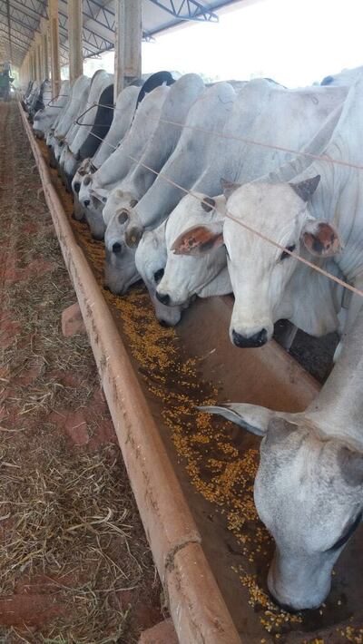 Imagen sin descripción