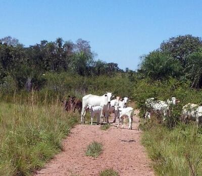 /pf/resources/images/abc-placeholder.png?d=2420