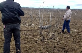 pilcomayo-identifican-nuevo-punto-critico-205350000000-1473748.jpg