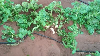 /pf/resources/images/abc-placeholder.png?d=2395