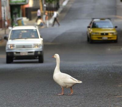 /pf/resources/images/abc-placeholder.png?d=2421