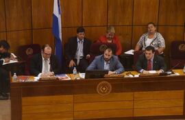 el-presidente-de-la-comision-permanente-ariel-oviedo-anr-disidente-centro-presidira-la-segunda-sesion-del-ano--213707000000-1542429.jpg