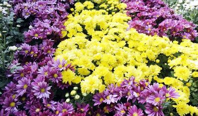 /pf/resources/images/abc-placeholder.png?d=2398