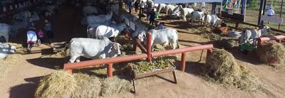 /pf/resources/images/abc-placeholder.png?d=2395