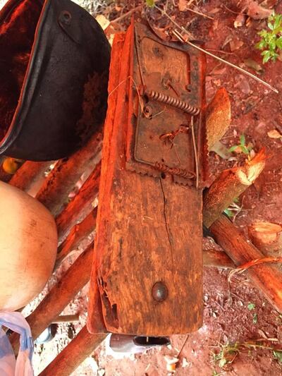 /pf/resources/images/abc-placeholder.png?d=2394