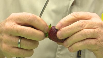 /pf/resources/images/abc-placeholder.png?d=2449