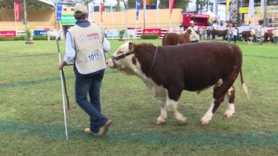 /pf/resources/images/abc-placeholder.png?d=2419