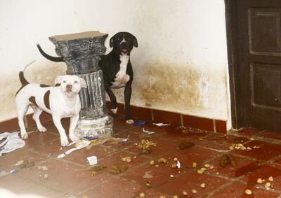 /pf/resources/images/abc-placeholder.png?d=2397