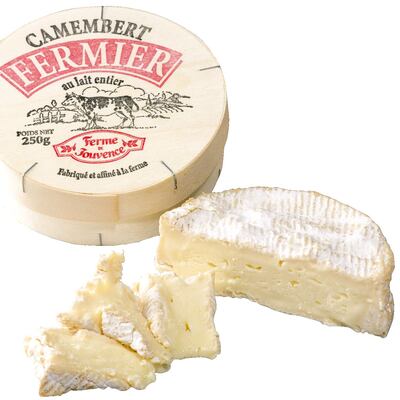 Imagen sin descripción