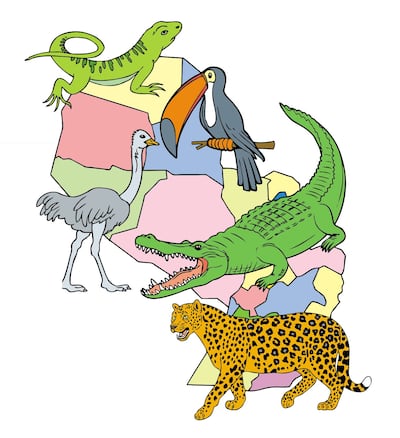 /pf/resources/images/abc-placeholder.png?d=2394