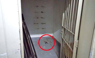 /pf/resources/images/abc-placeholder.png?d=2393