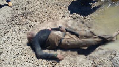 /pf/resources/images/abc-placeholder.png?d=2398