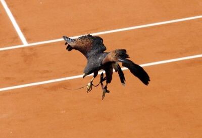 /pf/resources/images/abc-placeholder.png?d=2422