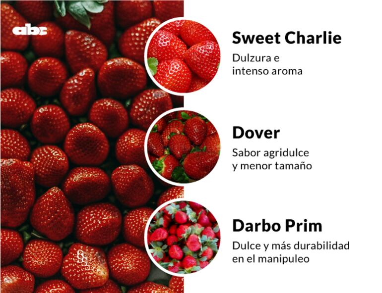 Variedad de frutas que hay en Paraguay.