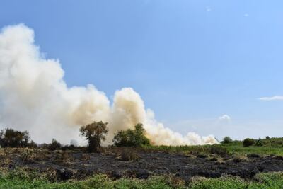 Las llamas consumen los pastizales.