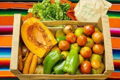 Imagen sin descripción