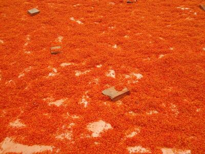 /pf/resources/images/abc-placeholder.png?d=2421