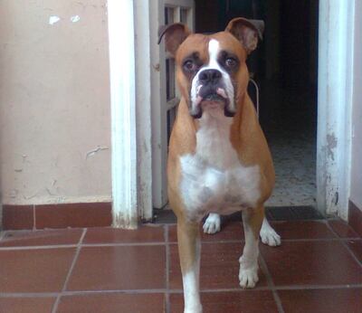 Imagen sin descripción