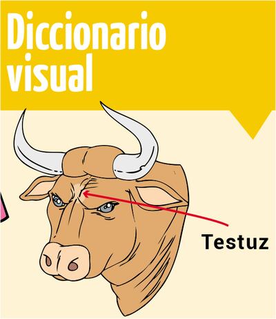 Diccionario visual