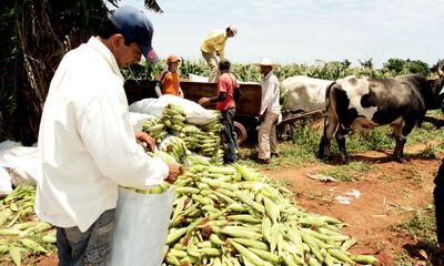 /pf/resources/images/abc-placeholder.png?d=2402