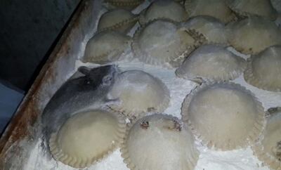 /pf/resources/images/abc-placeholder.png?d=2394