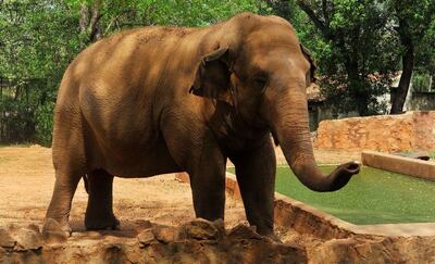 /pf/resources/images/abc-placeholder.png?d=2420