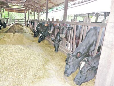 /pf/resources/images/abc-placeholder.png?d=2425