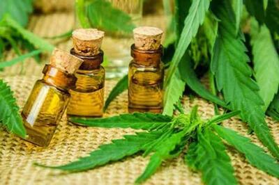 El uso del cannabis medicinal ya está aprobado pero solo para el aceite producido en el exterior.