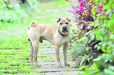 /pf/resources/images/abc-placeholder.png?d=2393