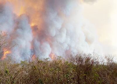 Foto de ayer enviada por el productor Celso Muxfeldt. El fuego se volvió a descontrolar en la zona de Cerro Chovoreca, hay dos estancias quemadas e incalculables daños a la flora y la fauna. Se sabía que este era un riesgo inminente apenas volviera el viento norte, pero lamentablemente no se aprovecharon las 72 horas de respiro que dio el clima para enfrentar mejor la grave situación.