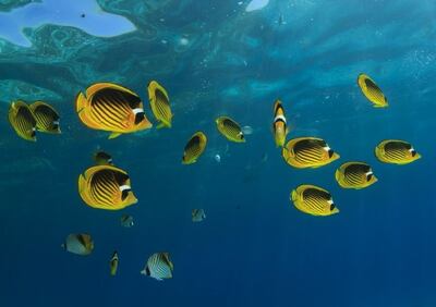 /pf/resources/images/abc-placeholder.png?d=2419